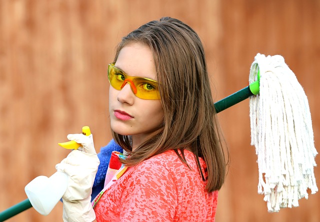 Effektiv rengøring uden brug af kemikalier: Hvordan en hedvandsrenser kan revolutionere dit hjem