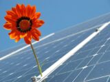 Den komplette guide til solceller og hvordan de bidrager til en ny energirevolution