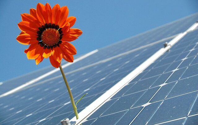 Den komplette guide til solceller og hvordan de bidrager til en ny energirevolution