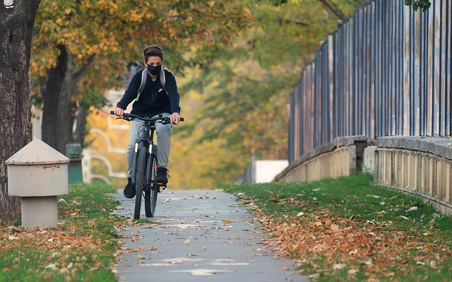 De bedste trehjulede cykler til voksne: Find din favoritmodel her